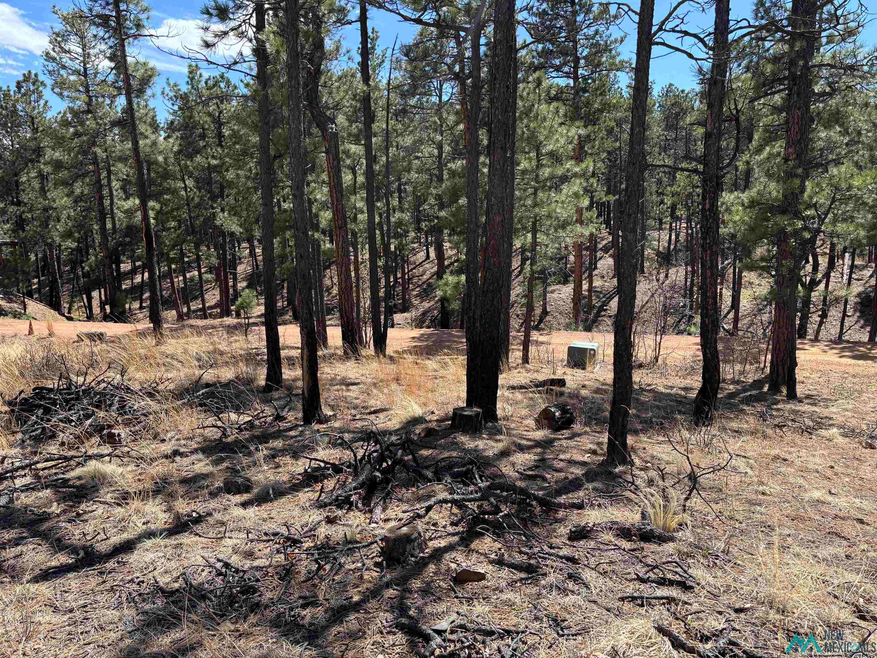1 Blue Jay Road Rociada, NM 87742 - Photo 19 of 22