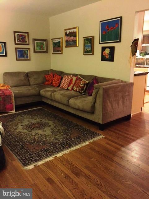 3701 Kayson Street Silver Spring, MD 20906 - Photo 4 of 30 a living room with furniture and a rug