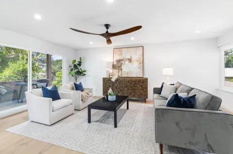 a living room with furniture and a potted plant