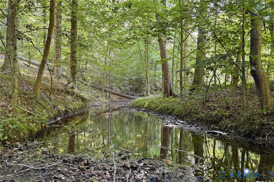13300 West Patrick Henry Road Doswell, VA 23047 - Photo 59 of 69 Wooded property featuring a spring-fed creek