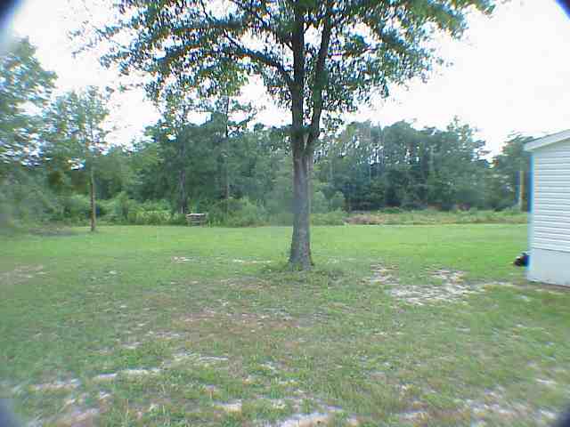 125 Gilkeson Road Honea Path, SC 29654 - Photo 8 of 9