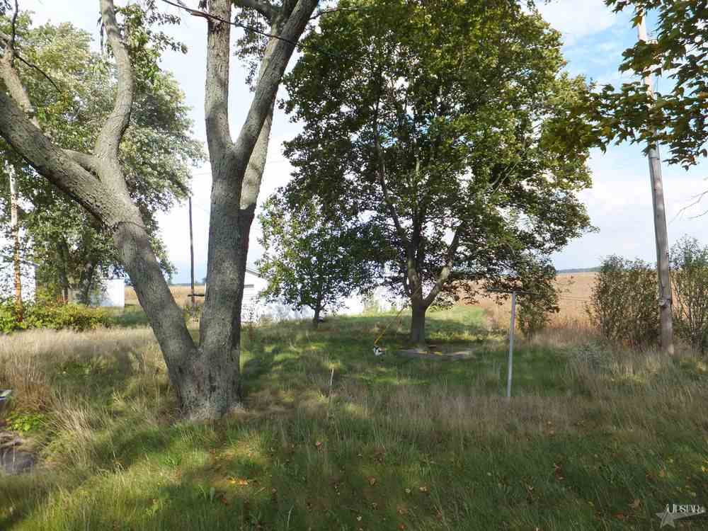 23607 Carrier Road Monroeville, IN 46773 - Photo 27 of 30