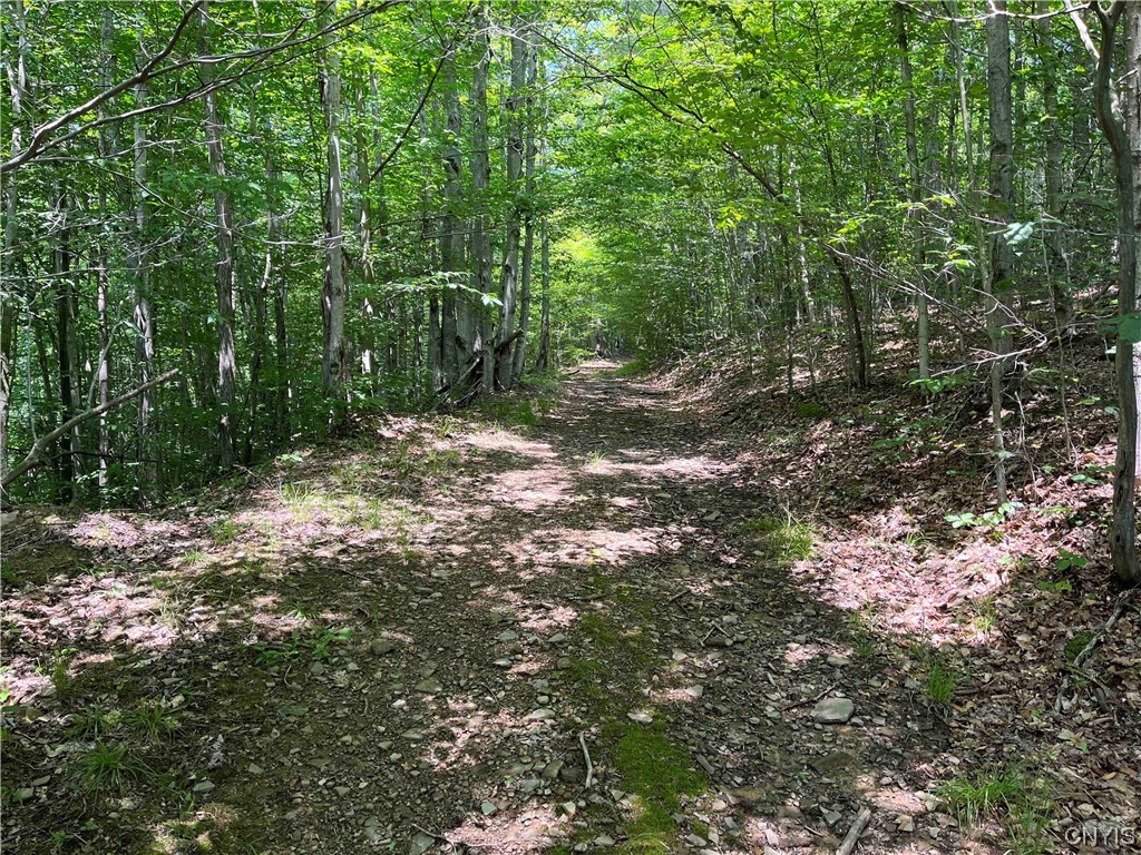 0 Gleason Hollow Road Belfast, NY 14711 - Photo 19 of 27 Gallery Image 19