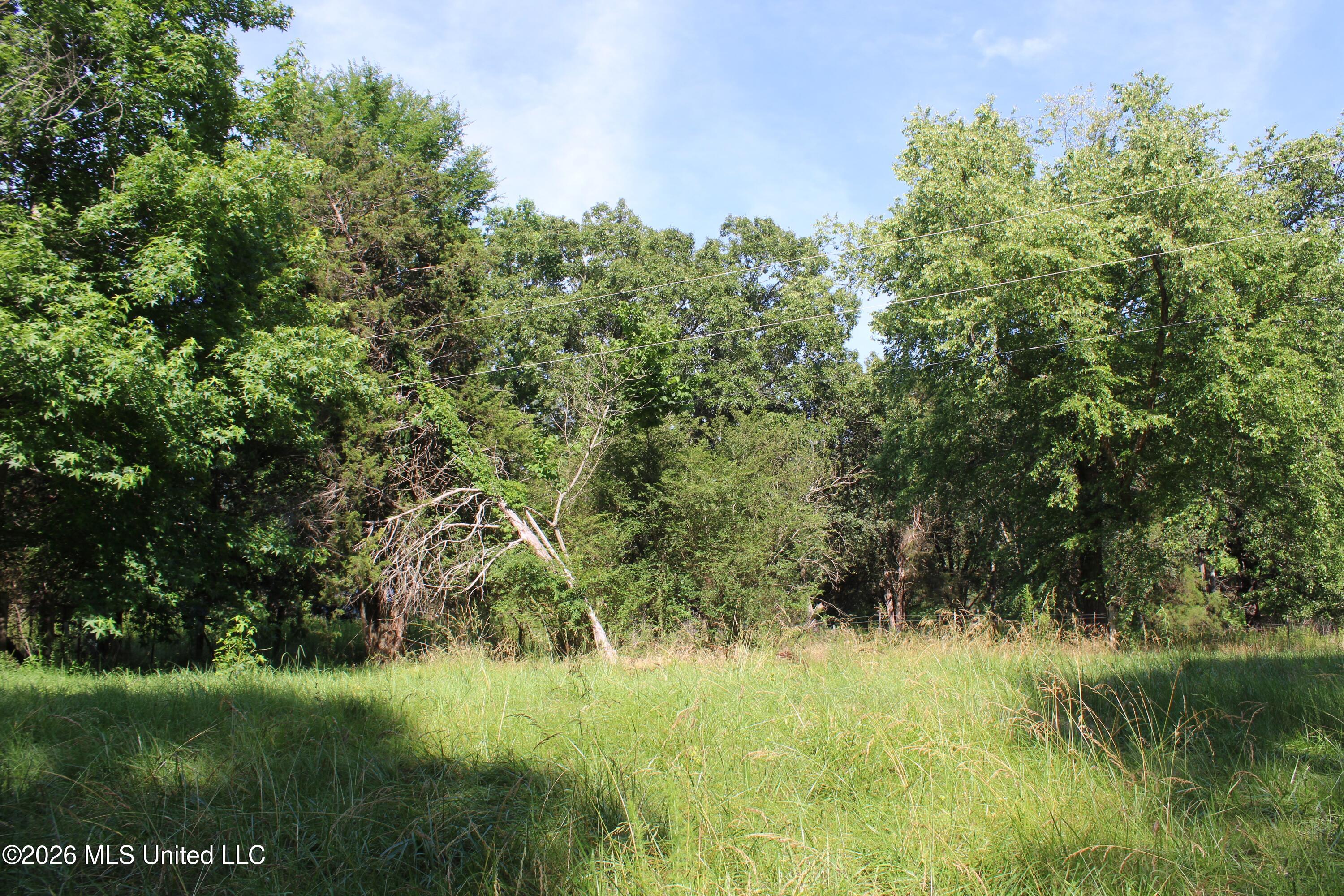 665 Briscoe Road Holly Springs, MS 38635 - Photo 18 of 18 IMG_7932