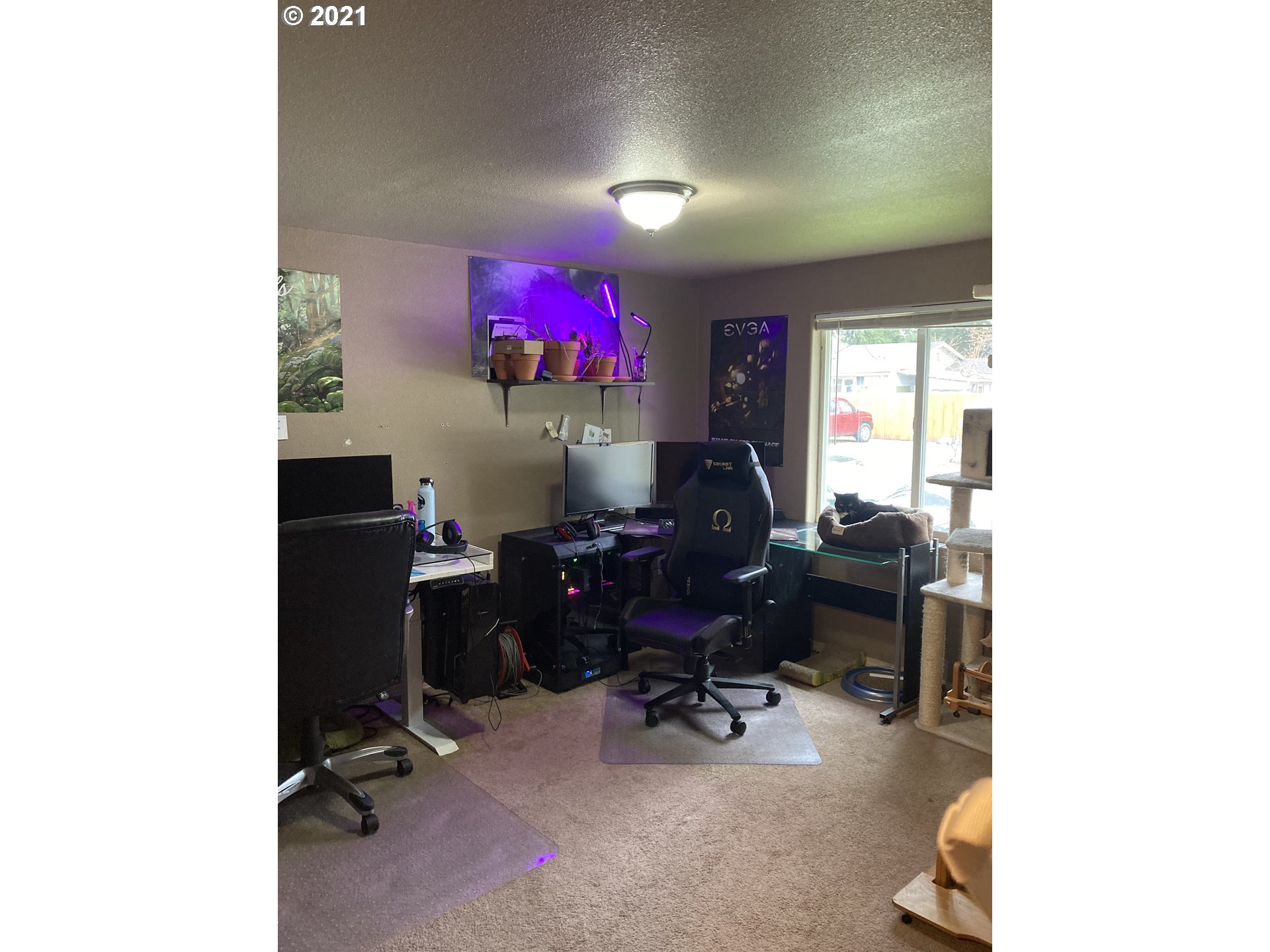 5135 F Street Springfield, OR 97478 - Photo 7 of 13