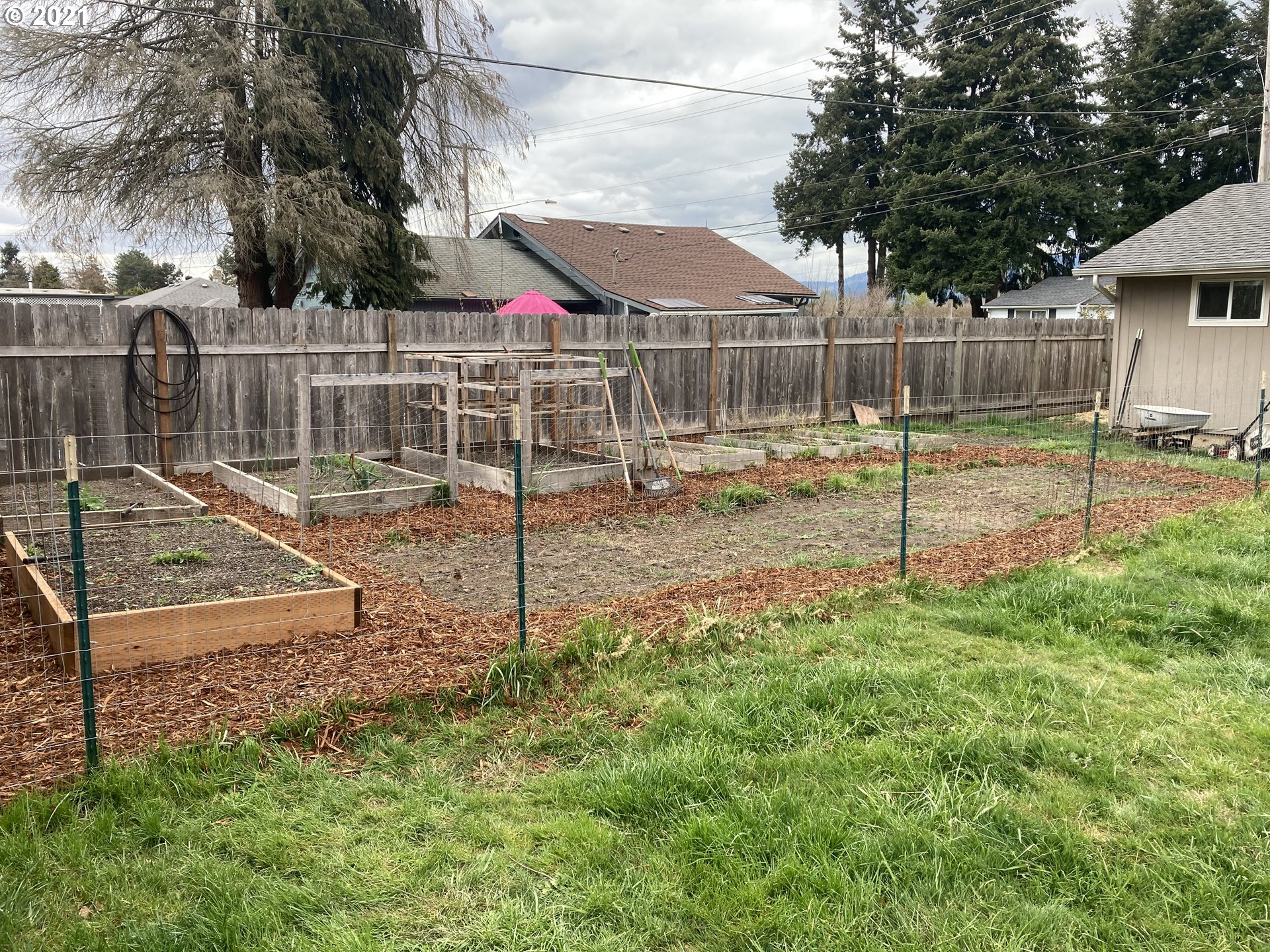 5135 F Street Springfield, OR 97478 - Photo 10 of 13