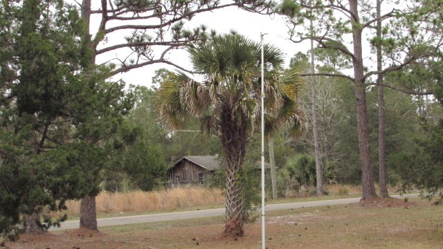124 Kendrick Road Carrabelle, FL 32322 - Photo 34 of 43 Gallery Image 34