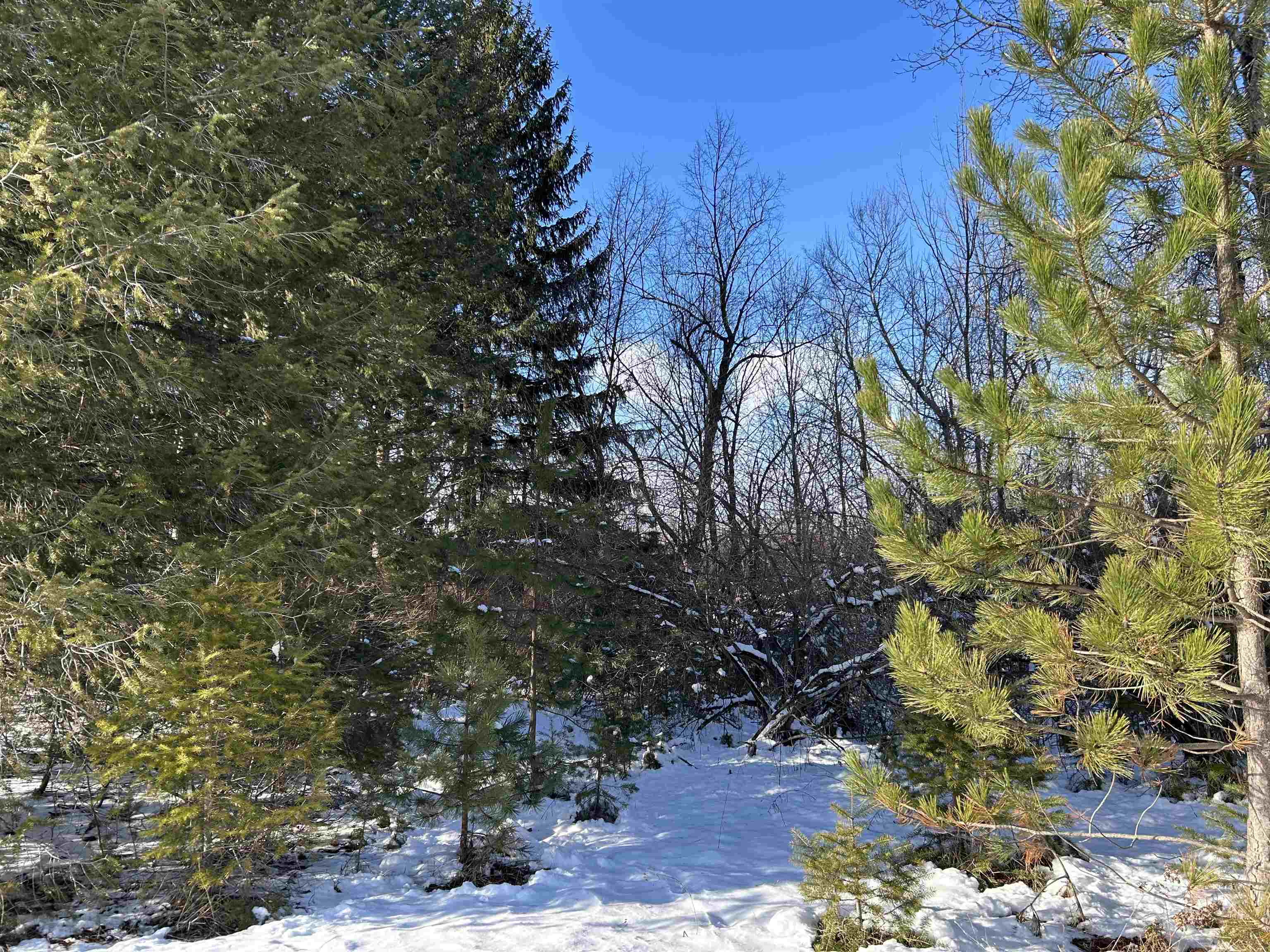 0 Platte Road Beulah, MI 49617 - Photo 5 of 7