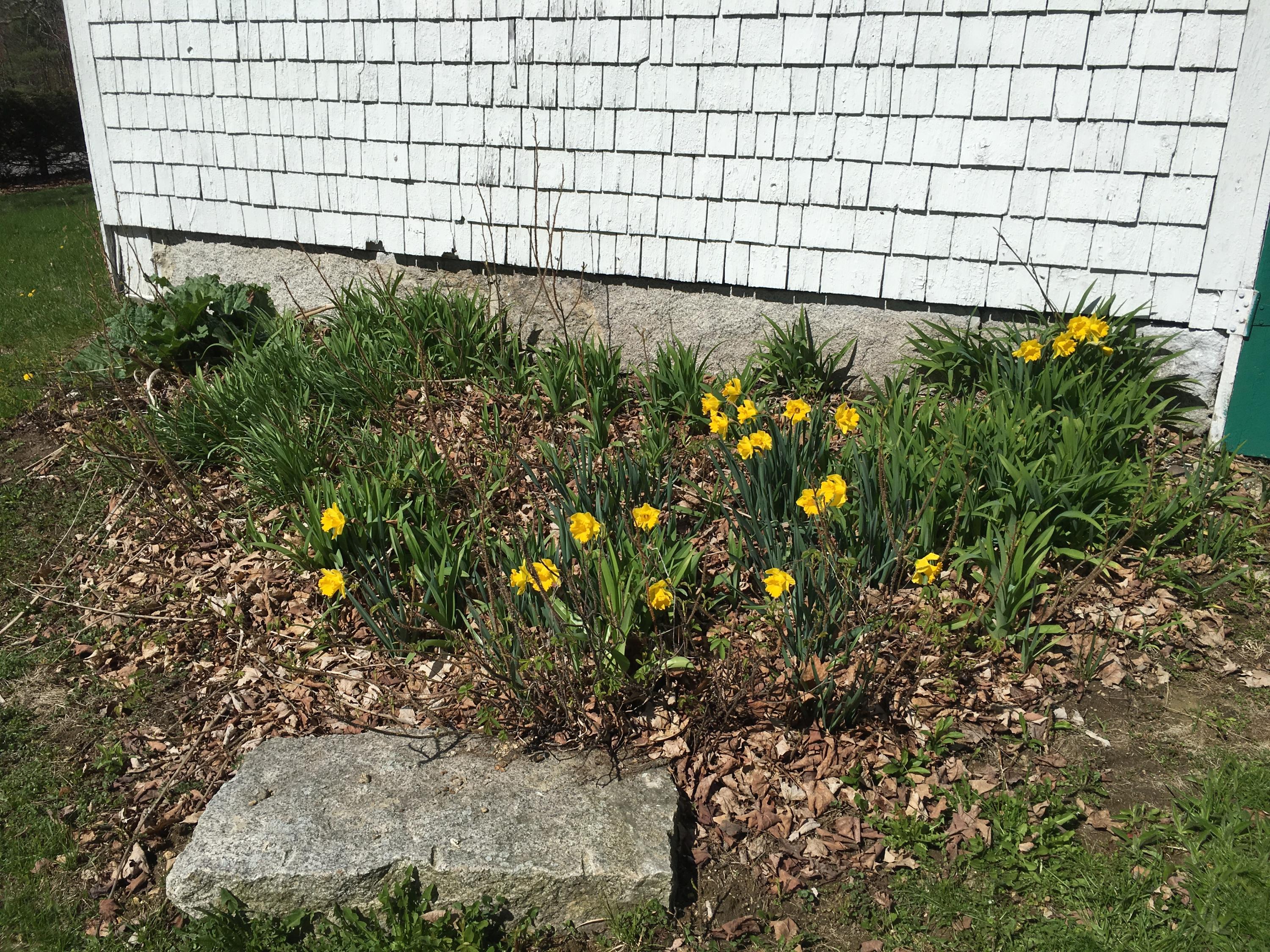 542 Doles Ridge Road Limerick, ME 04048 - Photo 32 of 53 09213AA5-D667-4C3E-B4A9-2CC9B37D8325