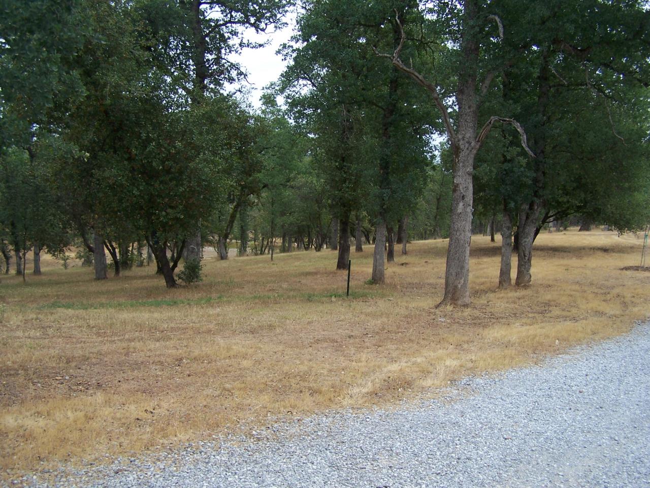 12800 Intermountain Road Redding, CA 96003 - Photo 33 of 39 a view of road with trees