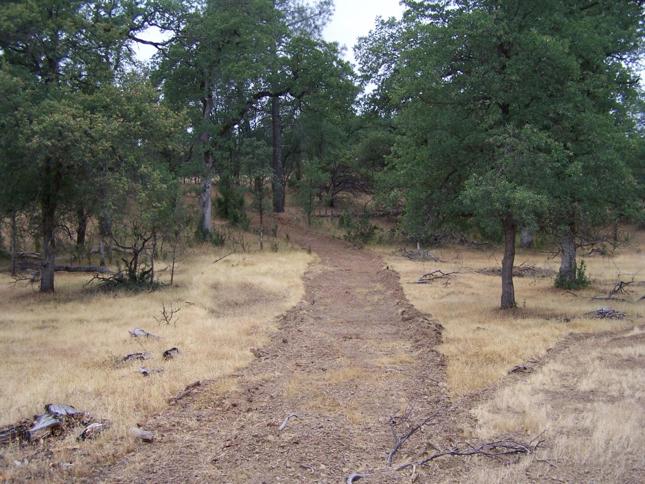 12800 Intermountain Road Redding, CA 96003 - Photo 35 of 39 a view of a yard with a tree