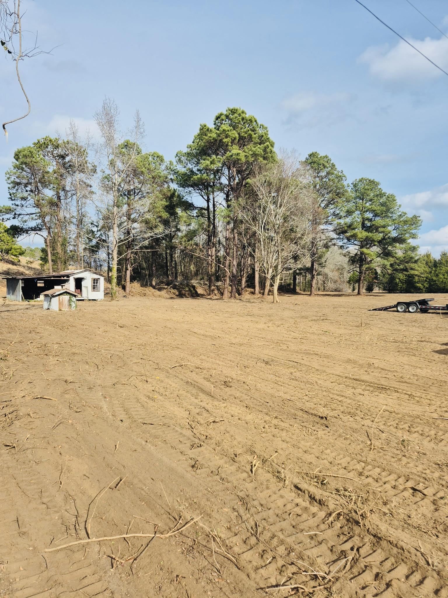 4340 West W Highway Marion, SC 29571 - Photo 2 of 6 View of yard