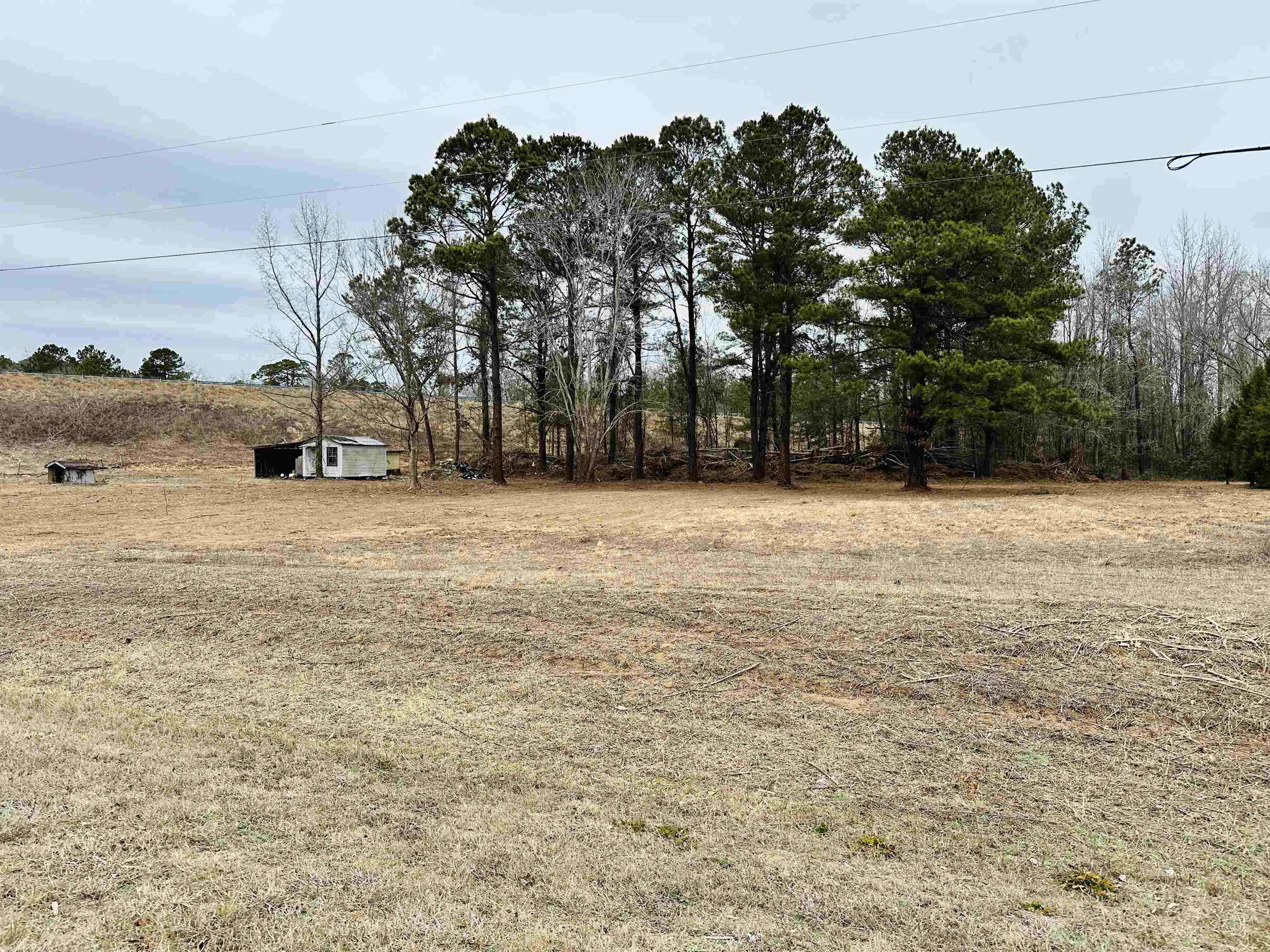 4340 West W Highway Marion, SC 29571 - Photo 3 of 9