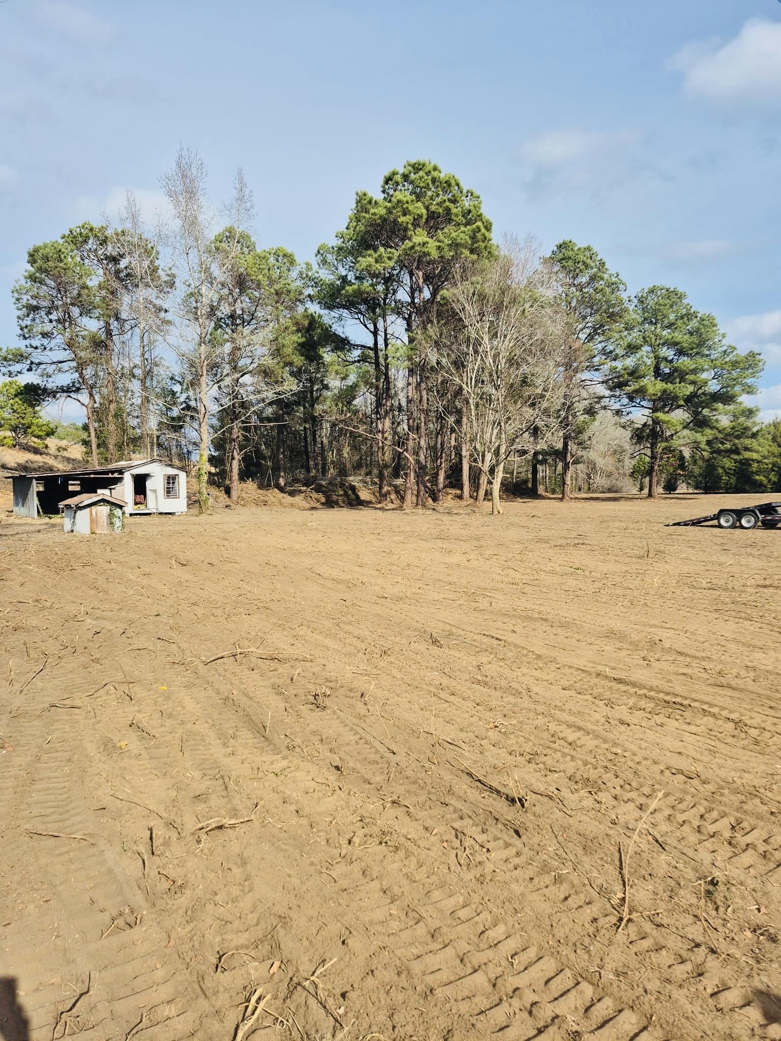 4340 West W Highway Marion, SC 29571 - Photo 3 of 6 View of yard