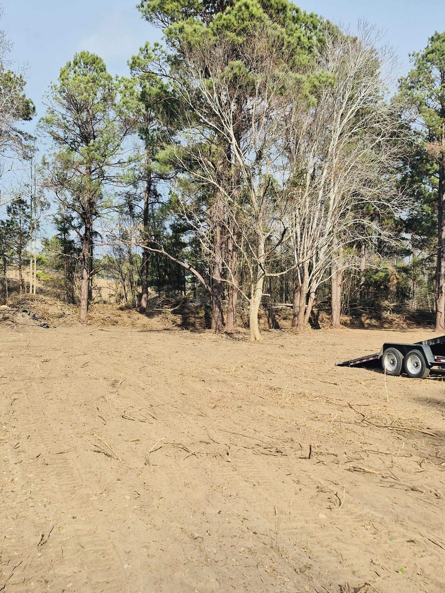 4340 West W Highway Marion, SC 29571 - Photo 4 of 9 View of yard