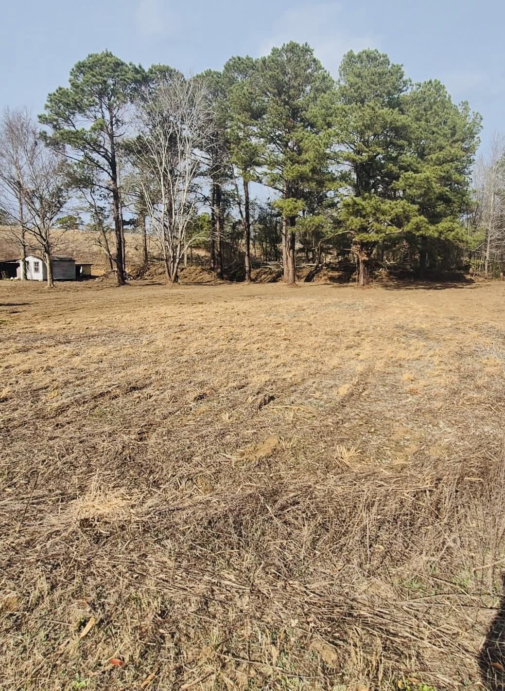 4340 West W Highway Marion, SC 29571 - Photo 5 of 6 View of yard