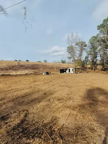 $42,000 | 4340 West W Highway, Marion, SC 29571