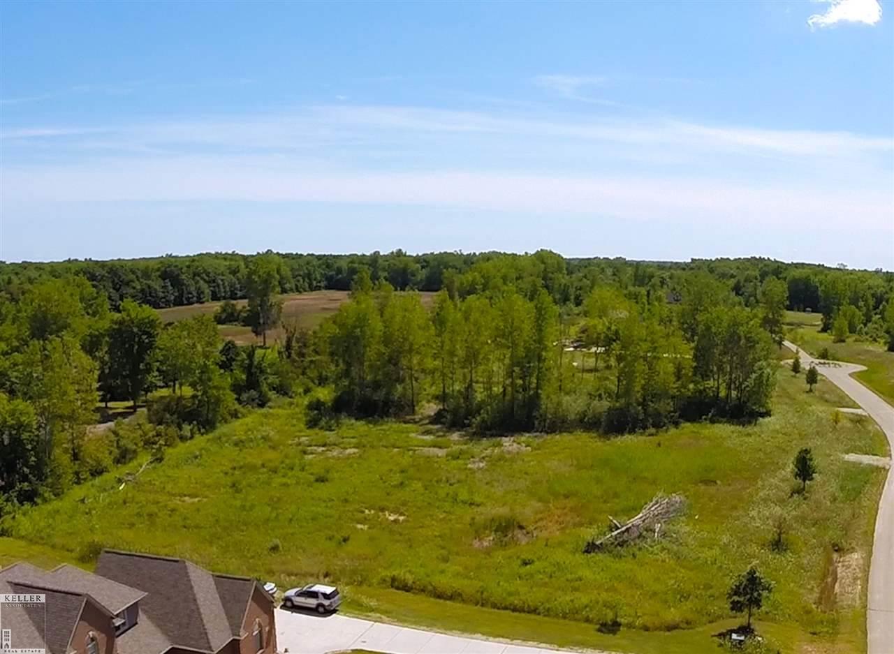 62700 Wayfaring Road, Unit PARCEL C Ray, MI 48096 - Photo 1 of 1