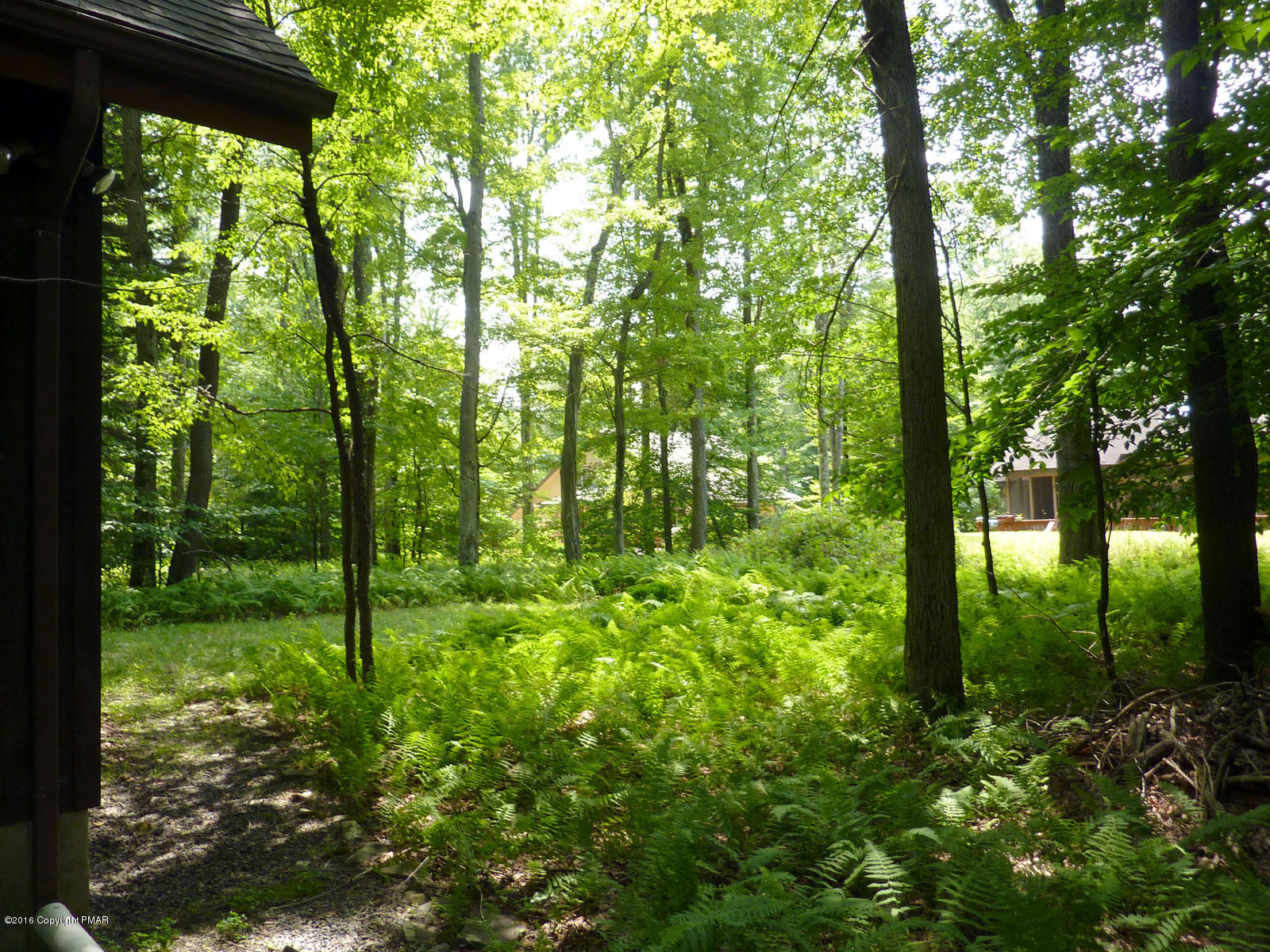 315 Appleseed Road Pocono Pines, PA 18350 - Photo 31 of 47 ZolfaghariBackyard