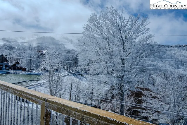 a view of a dry yard with wooden fence