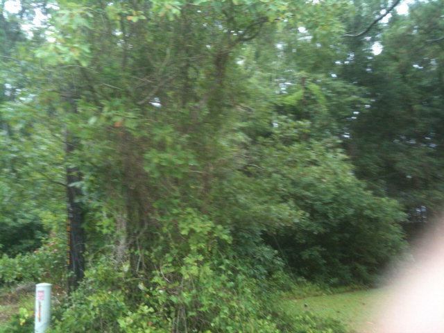 Lot 12 Cockle Street Holly Ridge, NC 28445 - Photo 2 of 6 Additional Photo