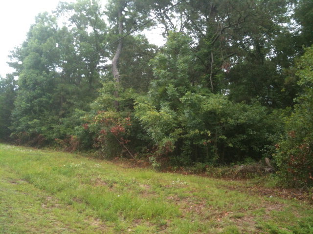 Lot 12 Cockle Street Holly Ridge, NC 28445 - Photo 3 of 6 Additional Photo