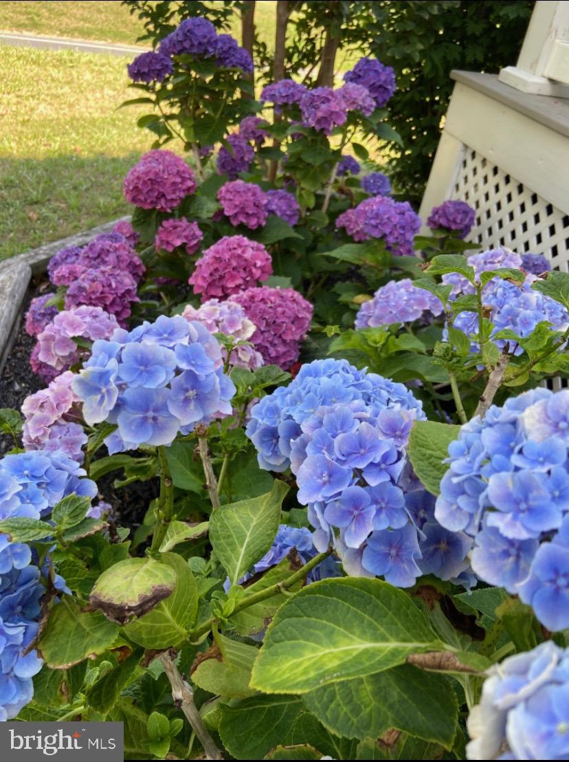 476 Lambs Road Pitman, NJ 08071 - Photo 6 of 36 Gallery Image 6
