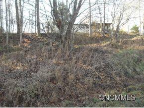 710 Lindsey Loop Road Fletcher, NC 28732 - Photo 2 of 12