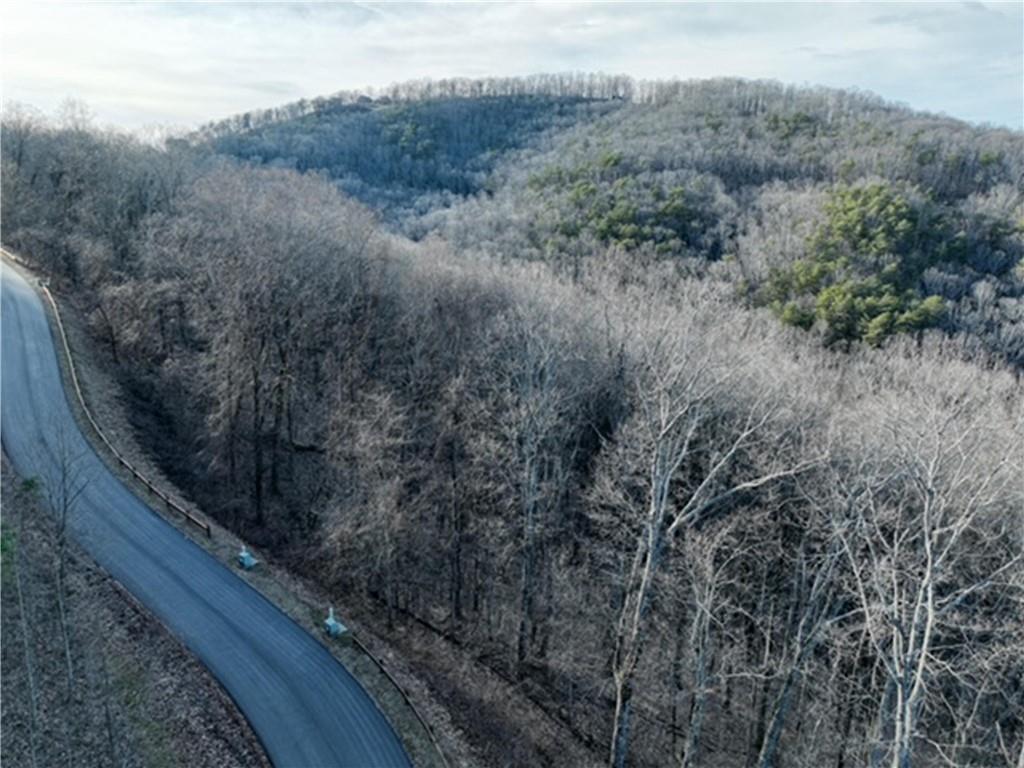 249 Andes Ridge Talking Rock, GA 30175 - Photo 18 of 20