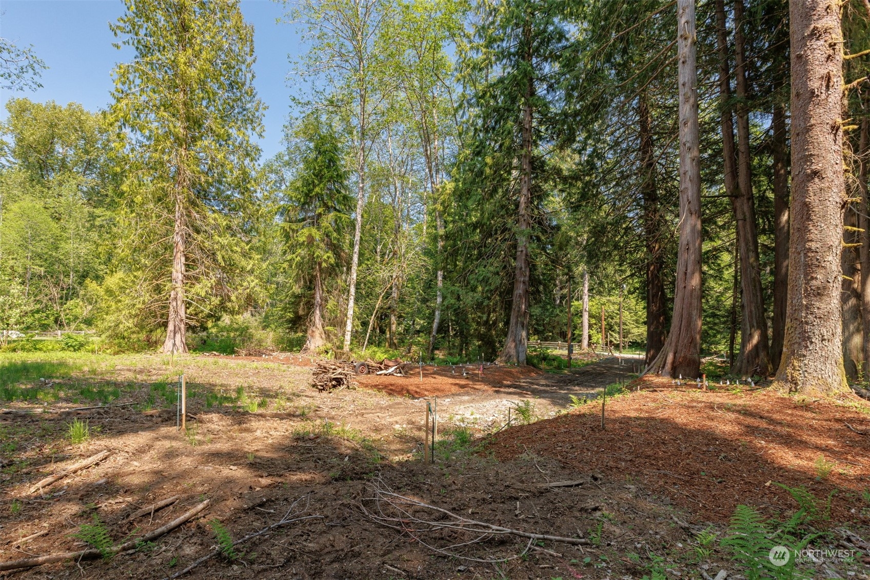 1713 Tower Road Bellingham, WA 98229 - Photo 12 of 39 Gallery Image 12