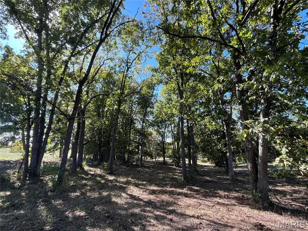 $105,000 | 31 Lot 3) Autumn Ridge Drive, Elsberry, MO 63343