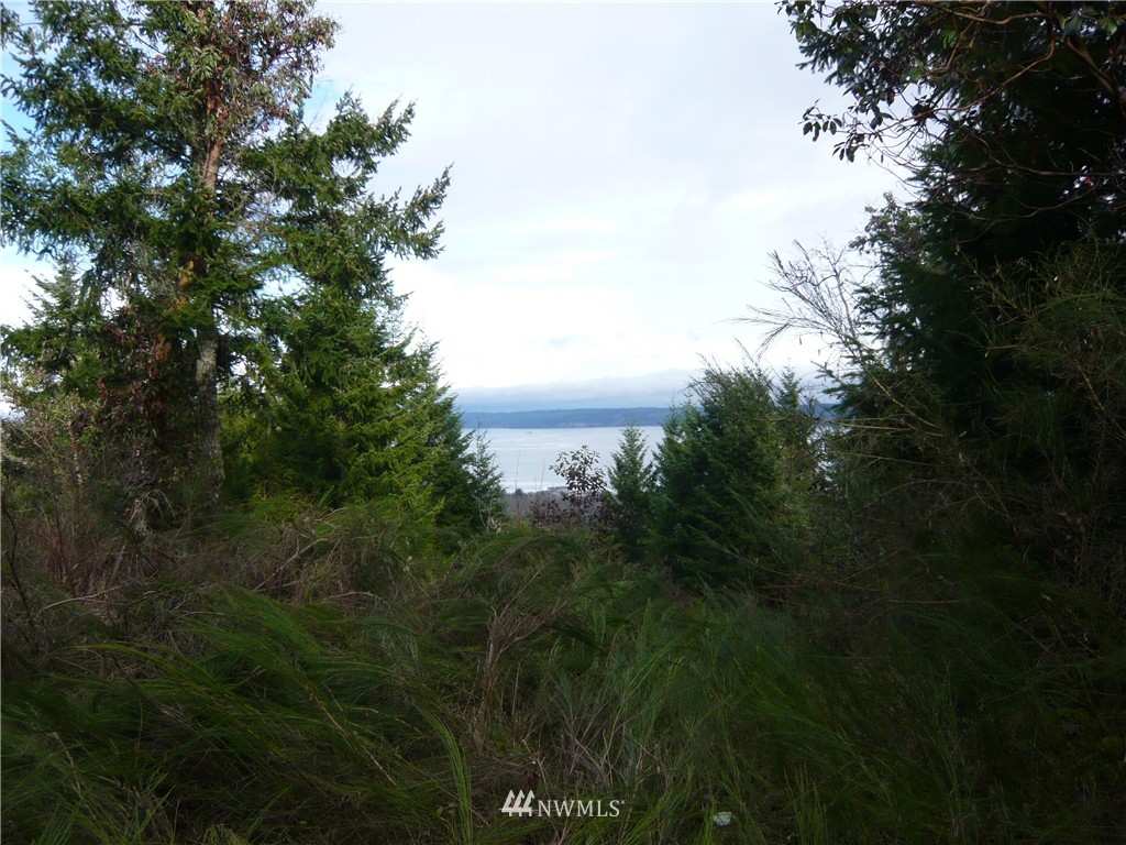 1 Moose Mountain Road Brinnon, WA 98320 - Photo 1 of 2 Gallery Image 1