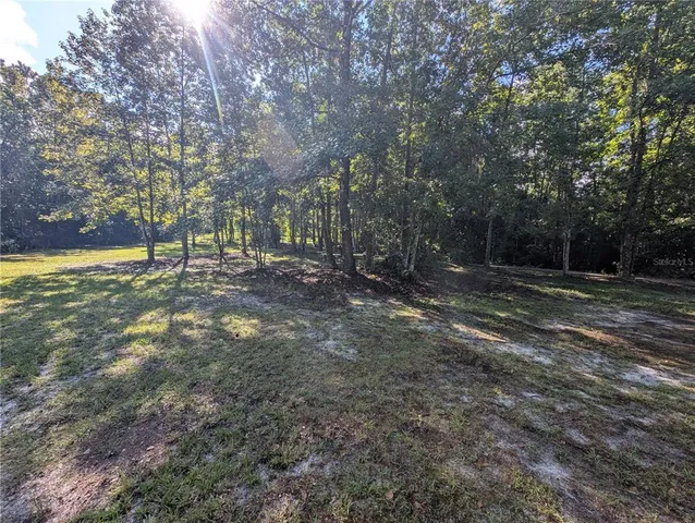 a view of outdoor space with trees all around