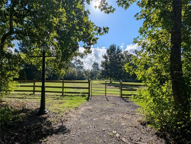 a view of park with bench and trees
