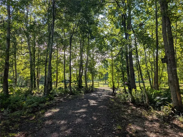 a view of outdoor space and trees