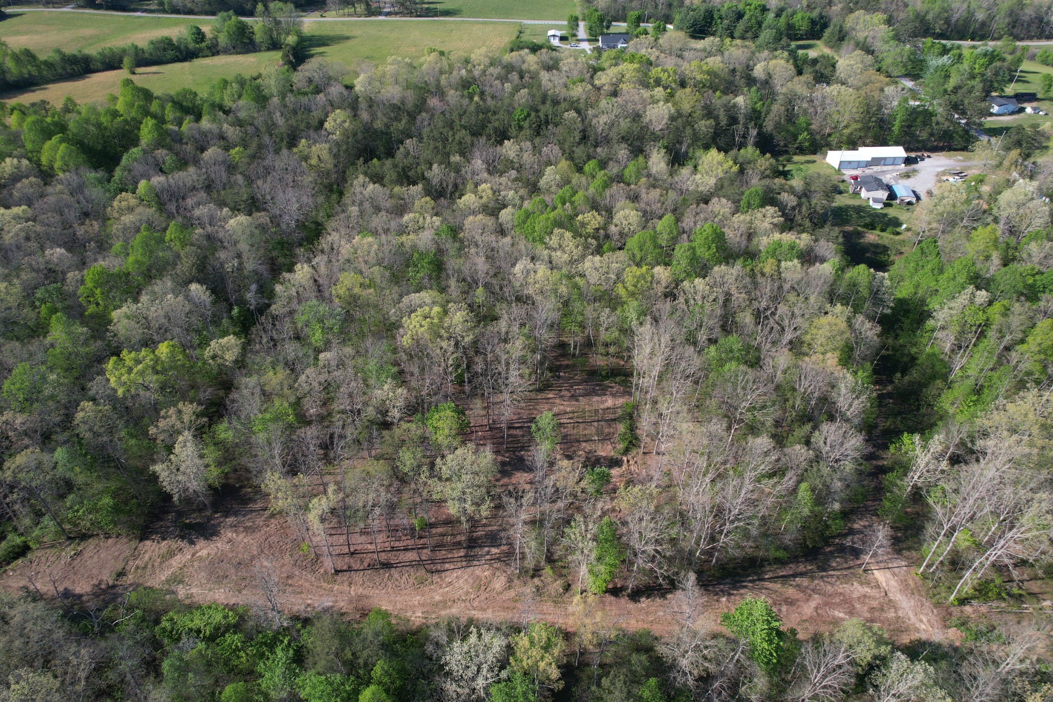 7 Fletcher Pickett Road Gruetli Laager, TN 37339 - Photo 1 of 27