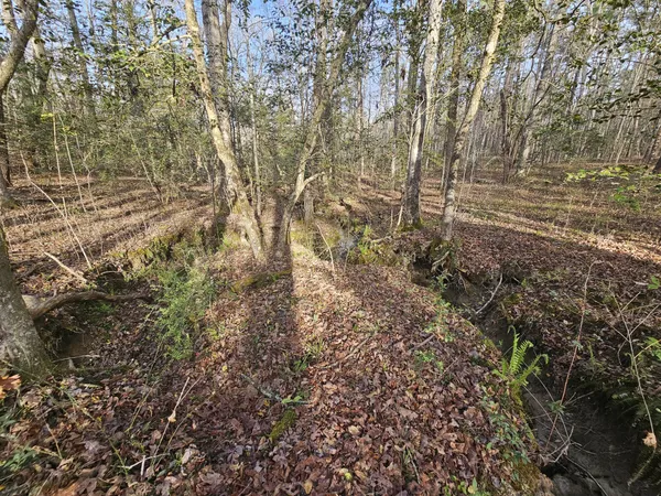 $129,900 | 7 Fletcher Pickett Road, Gruetli Laager, TN 37339
