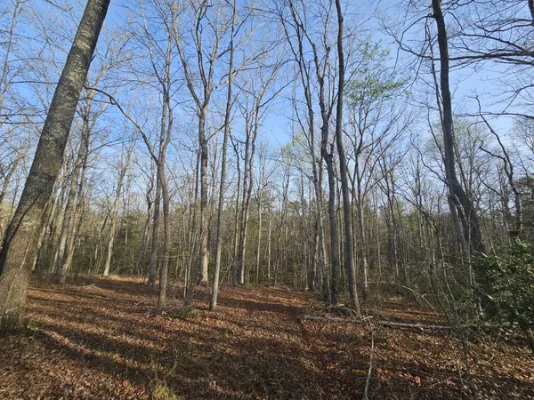 $129,900 | 7 Fletcher Pickett Road, Gruetli Laager, TN 37339
