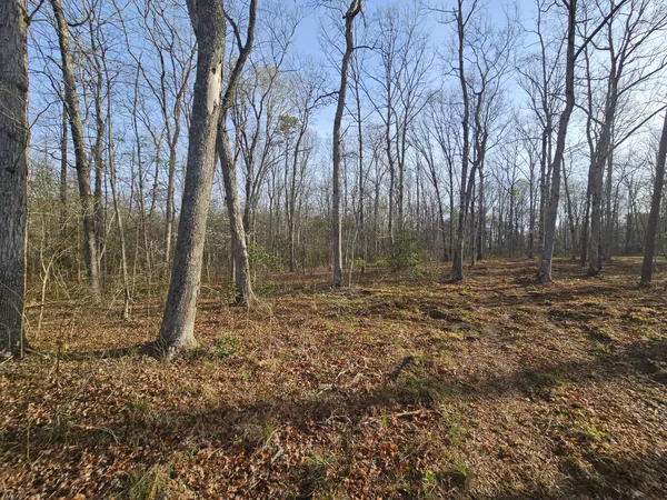 $129,900 | 7 Fletcher Pickett Road, Gruetli Laager, TN 37339