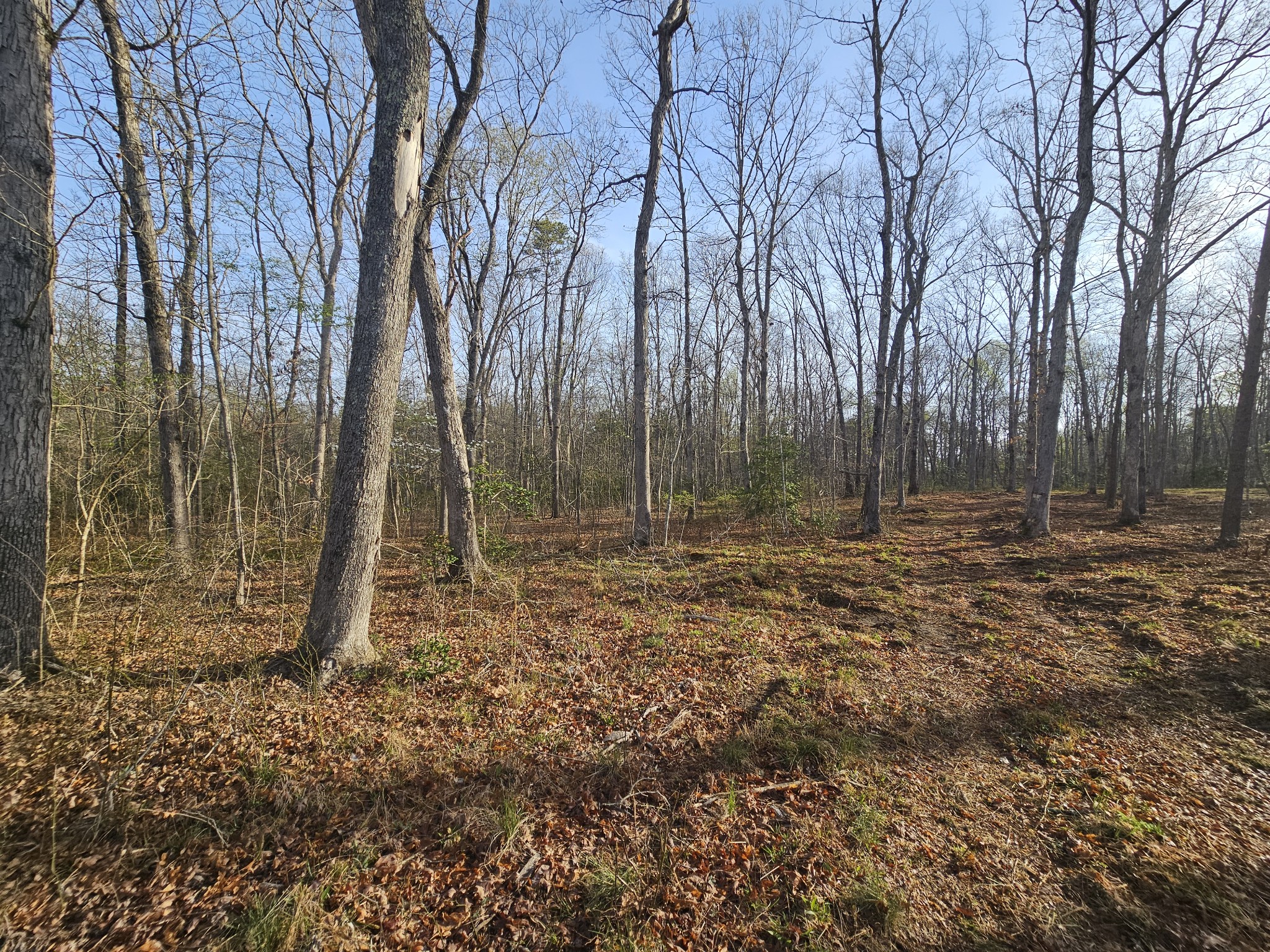 7 Fletcher Pickett Road Gruetli Laager, TN 37339 - Photo 13 of 27