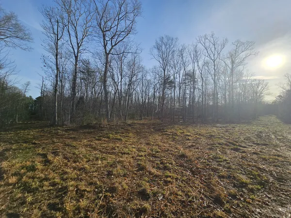 $129,900 | 7 Fletcher Pickett Road, Gruetli Laager, TN 37339