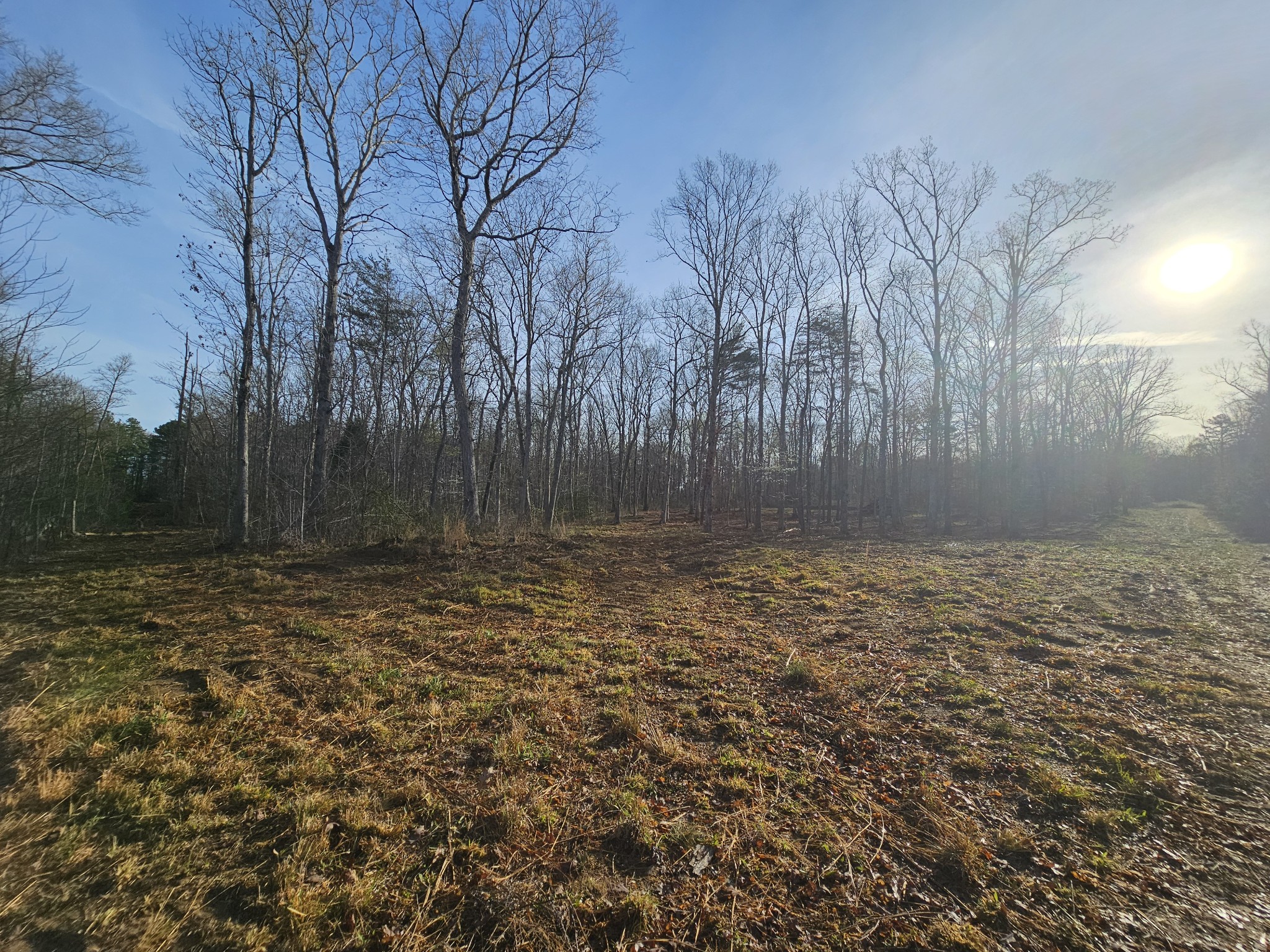 7 Fletcher Pickett Road Gruetli Laager, TN 37339 - Photo 14 of 27