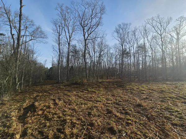 $129,900 | 7 Fletcher Pickett Road, Gruetli Laager, TN 37339