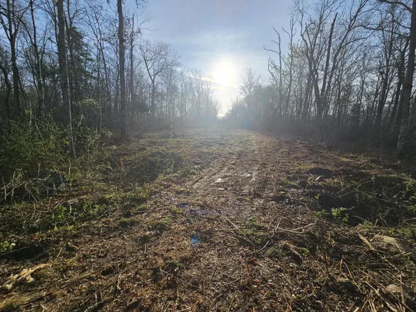 $129,900 | 7 Fletcher Pickett Road, Gruetli Laager, TN 37339