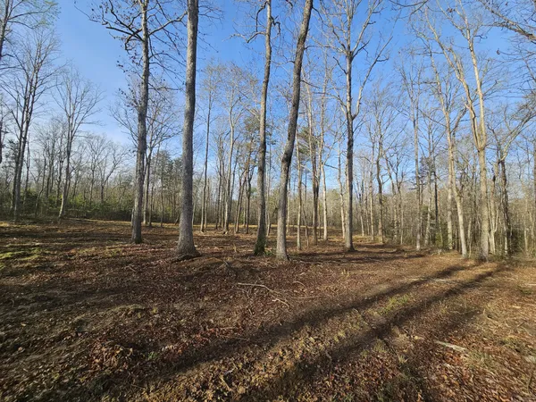 $129,900 | 7 Fletcher Pickett Road, Gruetli Laager, TN 37339
