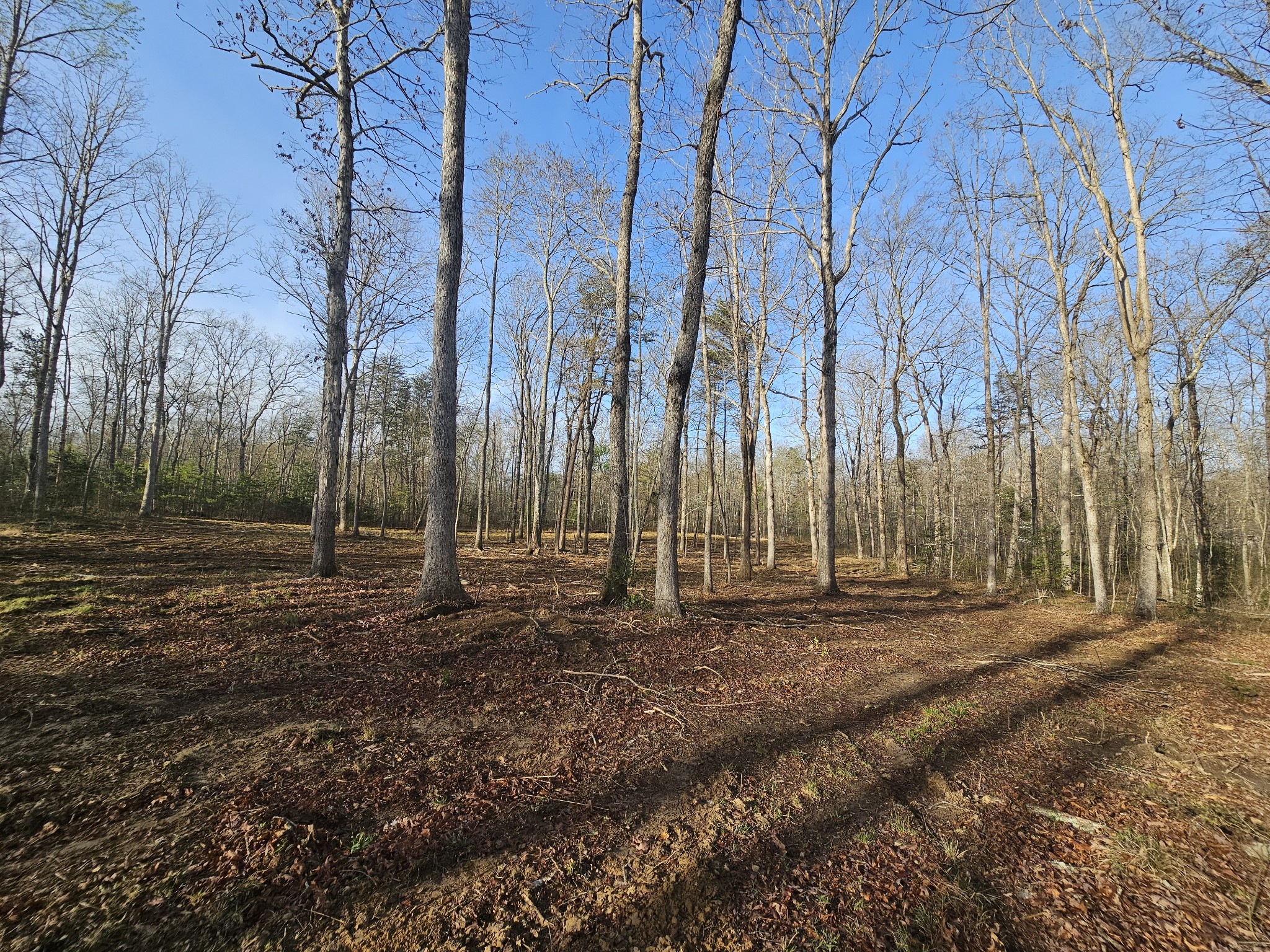 7 Fletcher Pickett Road Gruetli Laager, TN 37339 - Photo 2 of 27