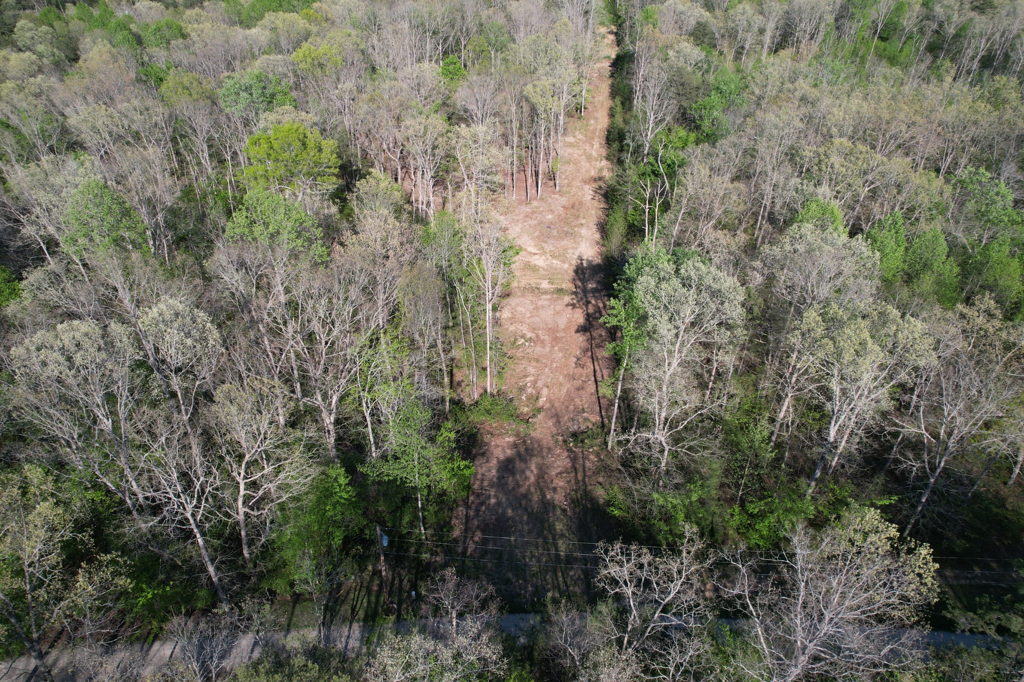 7 Fletcher Pickett Road Gruetli Laager, TN 37339 - Photo 22 of 27