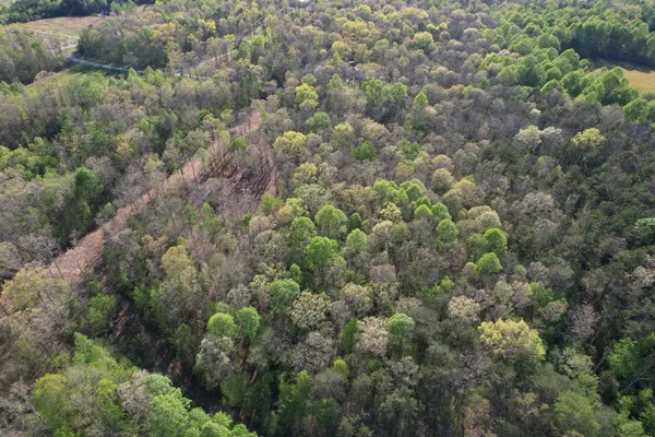 $129,900 | 7 Fletcher Pickett Road, Gruetli Laager, TN 37339