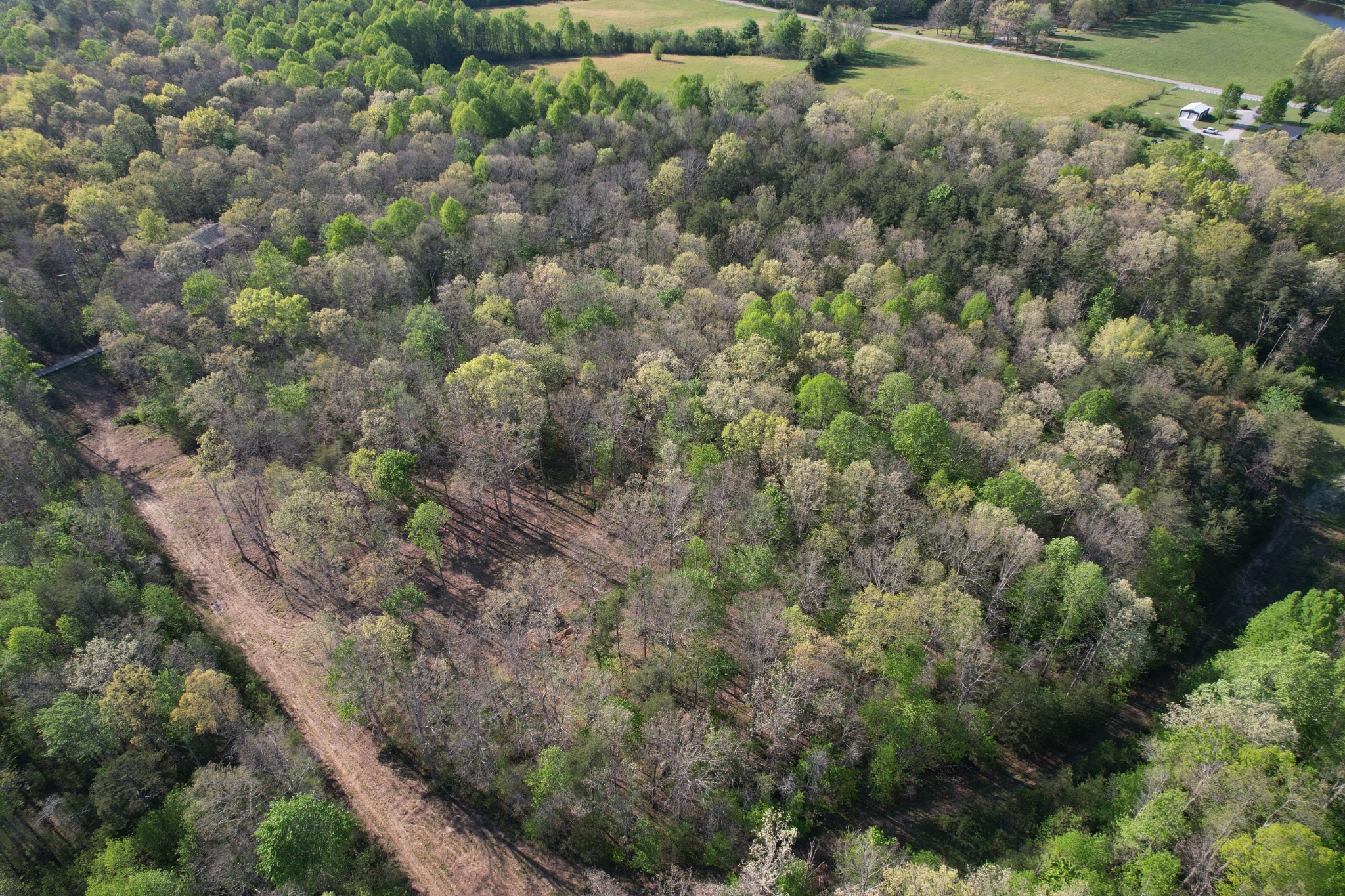 7 Fletcher Pickett Road Gruetli Laager, TN 37339 - Photo 25 of 27