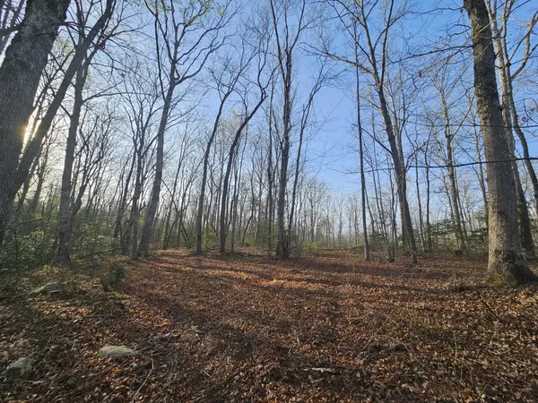 $129,900 | 7 Fletcher Pickett Road, Gruetli Laager, TN 37339